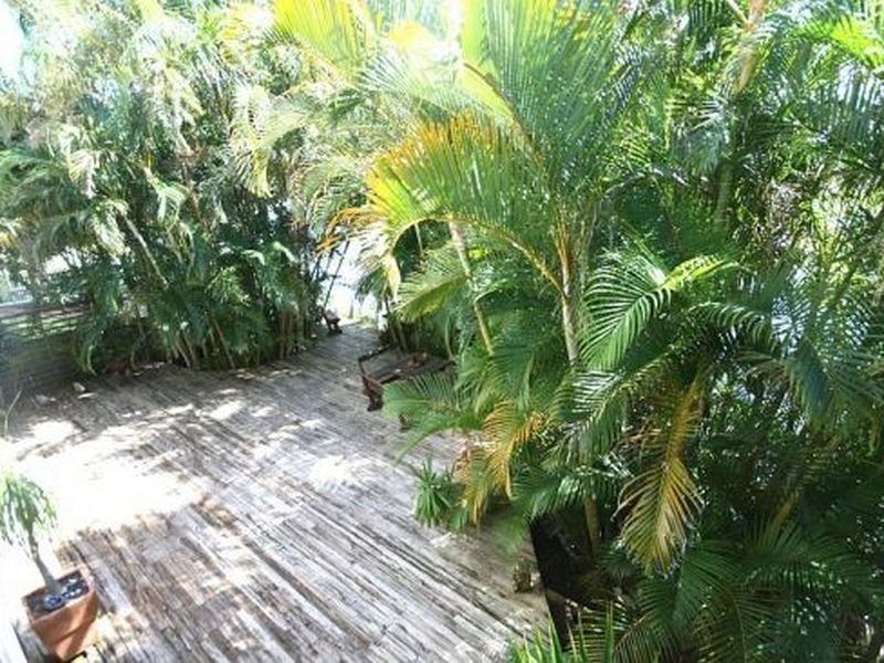 19 Banksia Avenue, Cabarita Beach NSW 2488