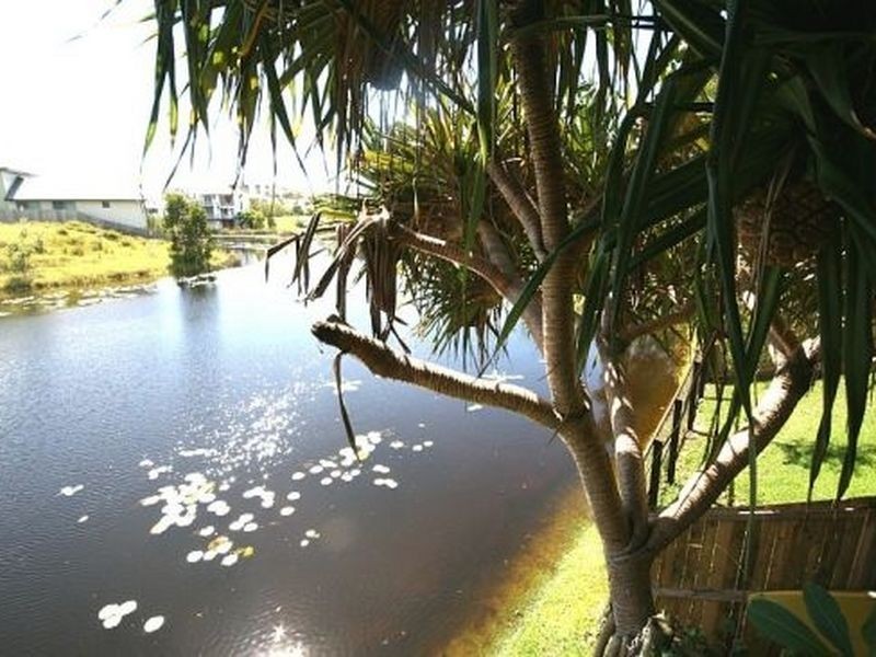 19 Banksia Avenue, Cabarita Beach NSW 2488