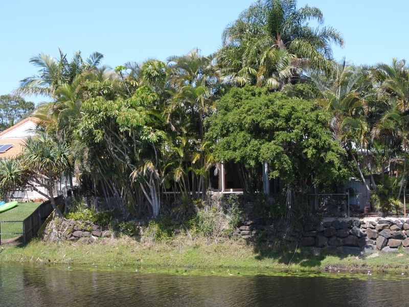 19 Banksia Avenue, Cabarita Beach NSW 2488