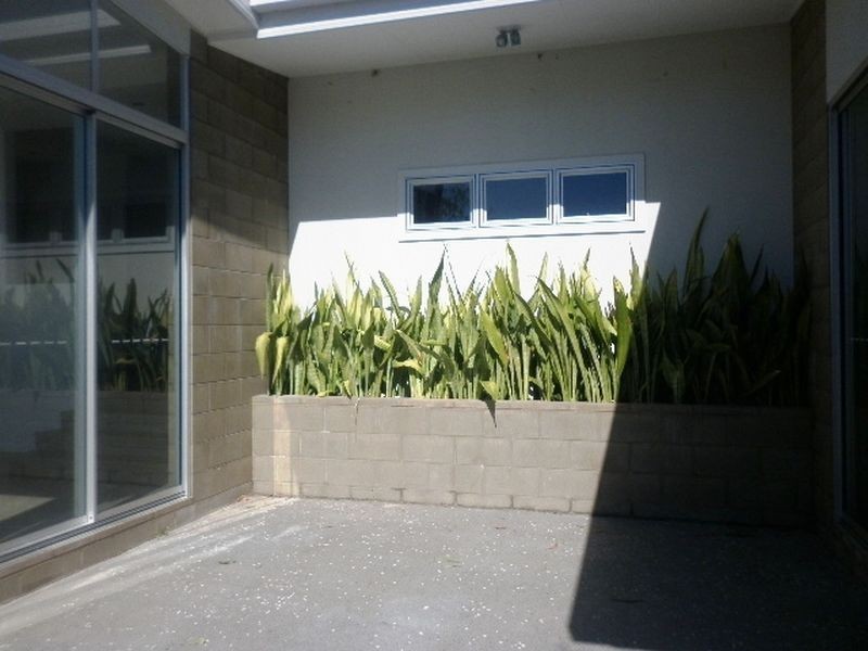 58 Macadamia Drive, Pottsville NSW 2489