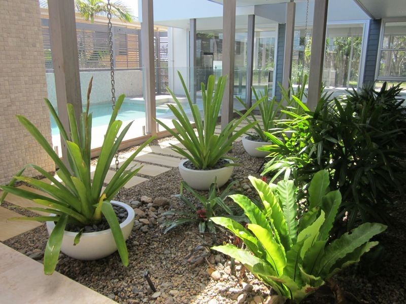 41 Elanora Ave, Pottsville Beach NSW 2489