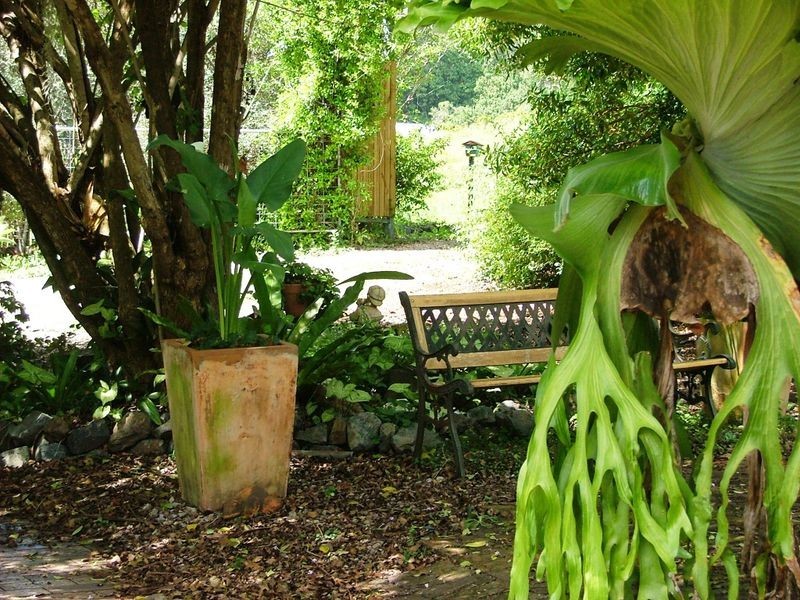 Lot 1 224 Sleepy Hollow Road, Billinudgel NSW 2483