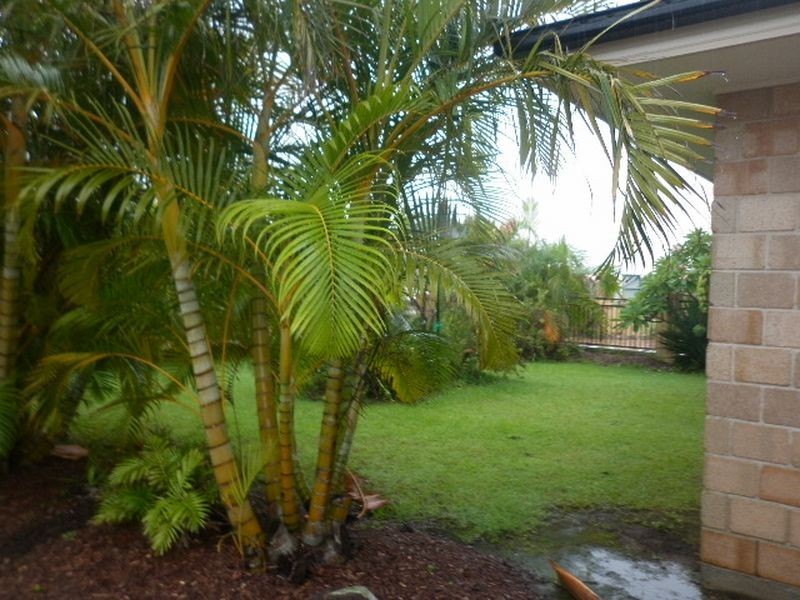 121 Overall Drive, Pottsville NSW 2489