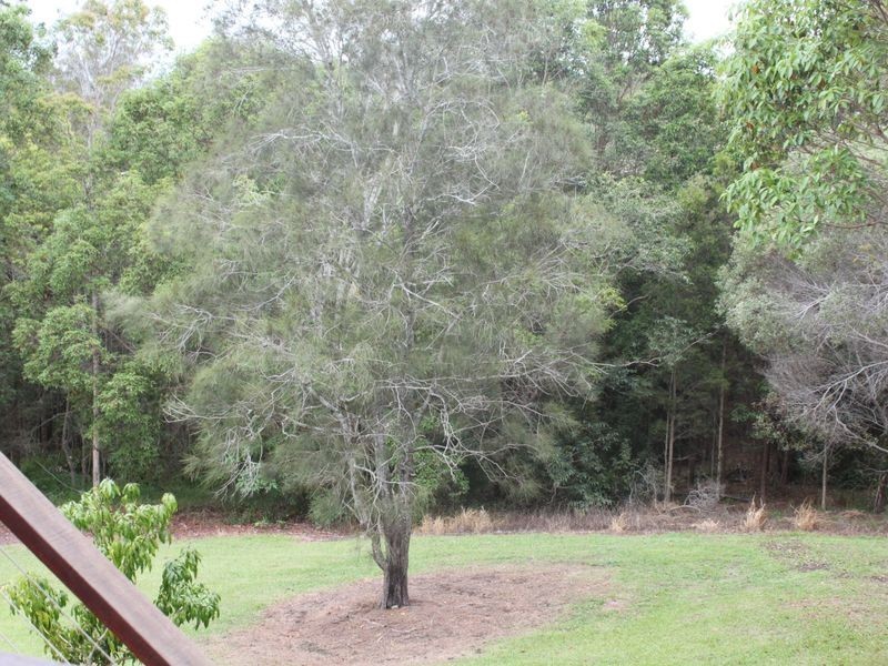 11 Sassafras Street, Pottsville NSW 2489