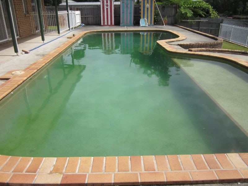 9 Andrew Avenue, Pottsville NSW 2489