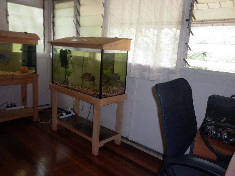 10 Coast Road, Pottsville NSW 2489