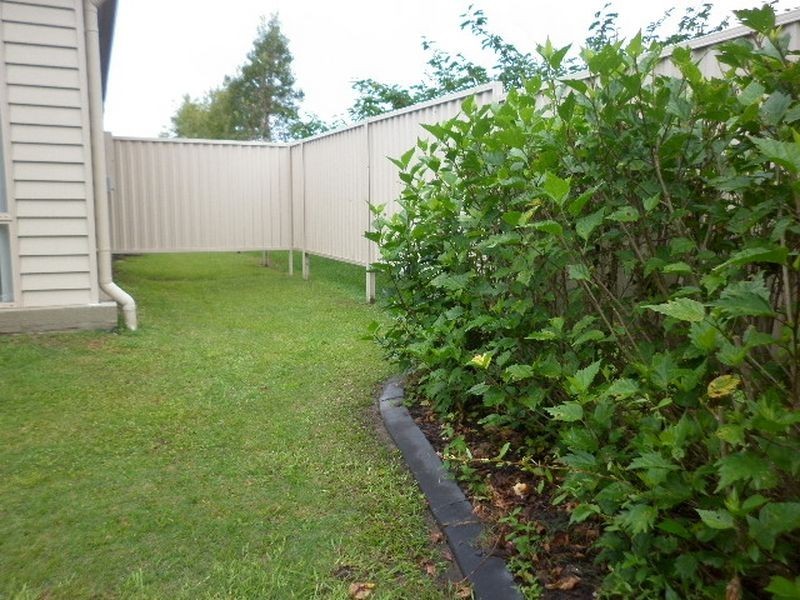 4 Bandicoot Street, Pottsville NSW 2489