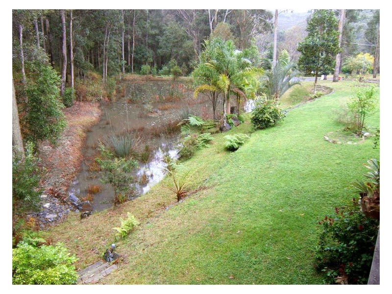 77 Albert Street, Kendall NSW 2439