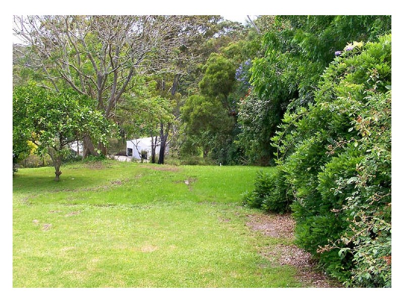 29 Comboyne Street, Kendall NSW 2439