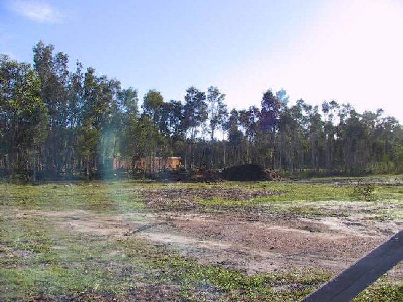 North Haven NSW 2443