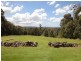822 Batar Creek Road, Kendall NSW 2439