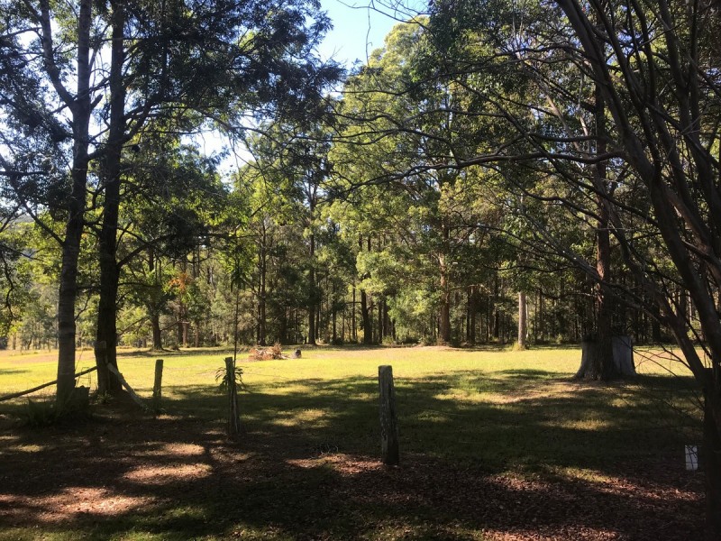 45 Fishers Ridge, Beechwood NSW 2446