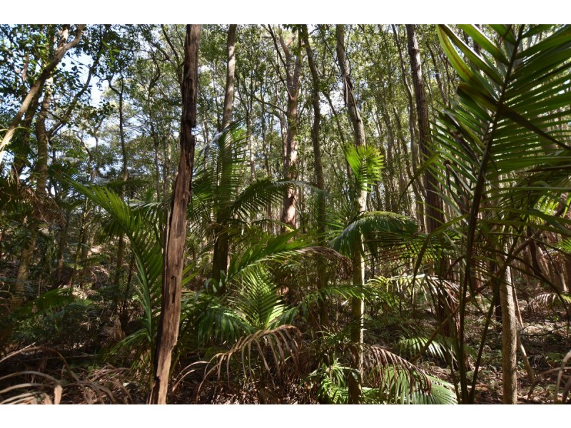 37 Norman Street, Laurieton NSW 2443