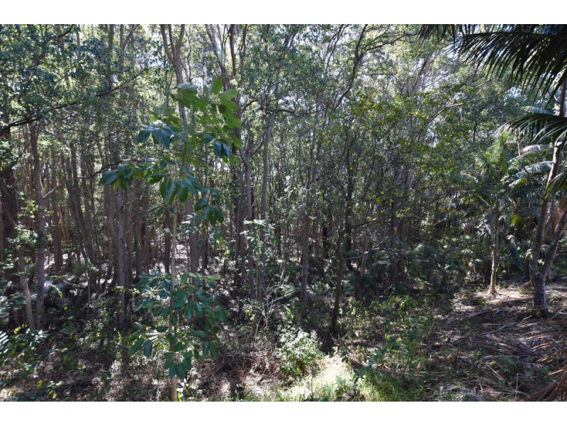 37 Norman Street, Laurieton NSW 2443