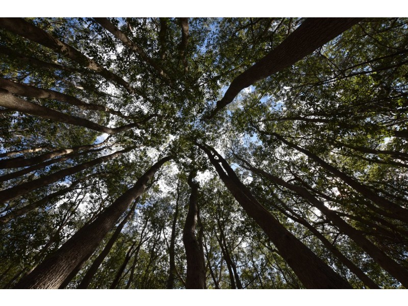 37 Norman Street, Laurieton NSW 2443