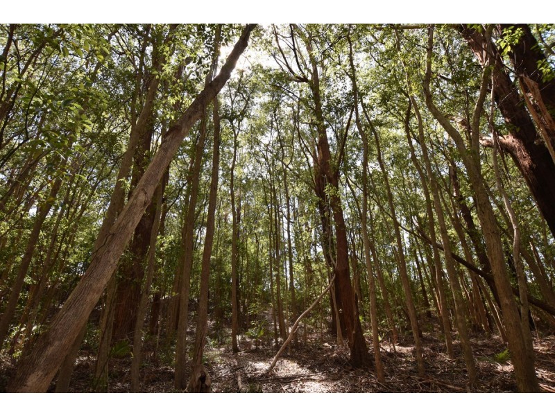 37 Norman Street, Laurieton NSW 2443