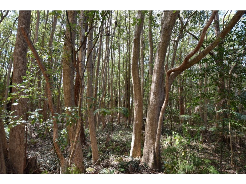 37 Norman Street, Laurieton NSW 2443