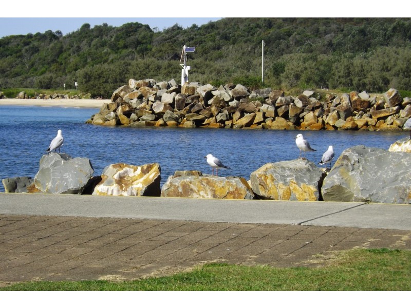 11 Bold Street, Laurieton NSW 2443