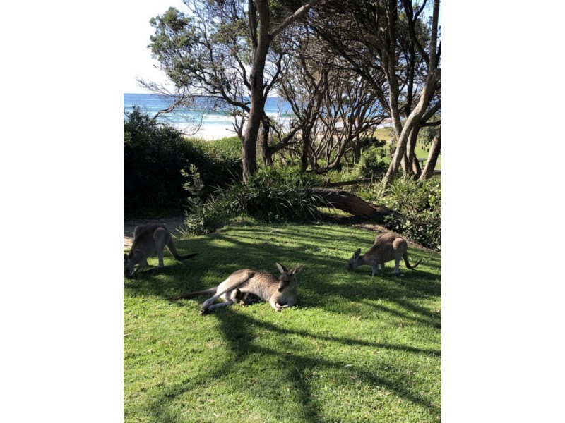 11 Bold Street, Laurieton NSW 2443