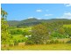 18 Red Cedar Ridge, Kew NSW 2439