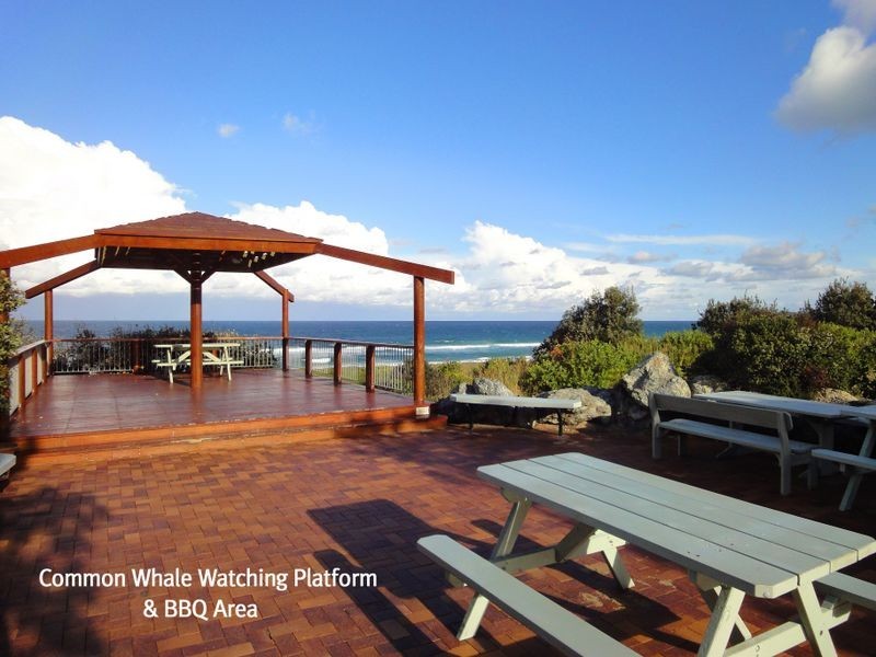 19 Birramal Drive, Dunbogan NSW 2443