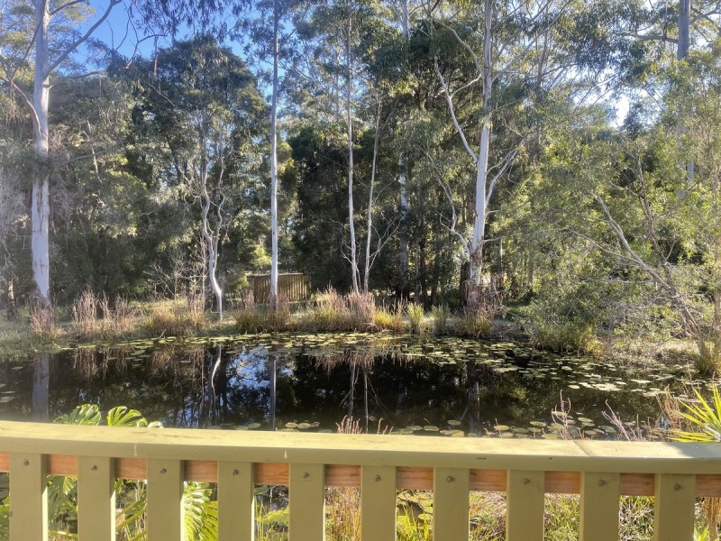 44A Lee Place, Logans Crossing NSW 2439