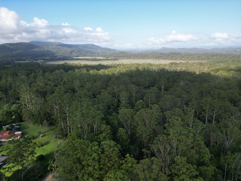 3 Blue Gum Place, Kew NSW 2439