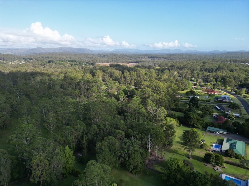 3 Blue Gum Place, Kew NSW 2439