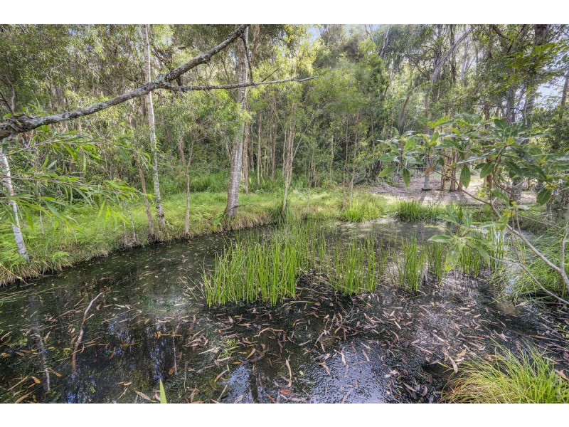 44 Lee Place, Logans Crossing NSW 2439