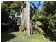 69 The Boulevarde, Dunbogan NSW 2443