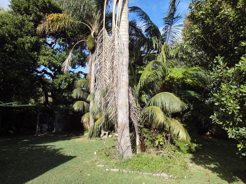 69 The Boulevarde, Dunbogan NSW 2443