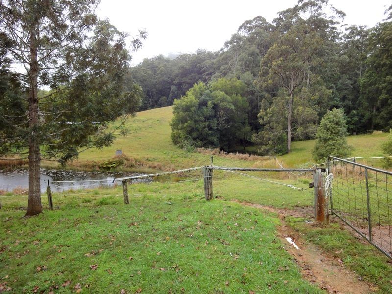 559 Batar Creek Road, Kendall NSW 2439