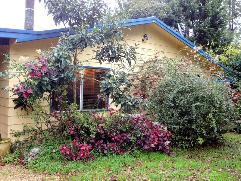 559 Batar Creek Road, Kendall NSW 2439