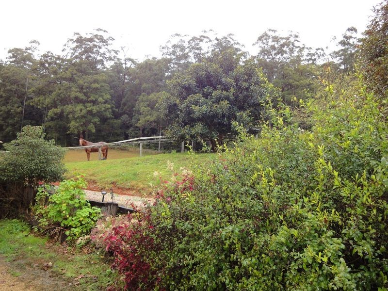 559 Batar Creek Road, Kendall NSW 2439