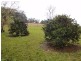 559 Batar Creek Road, Kendall NSW 2439