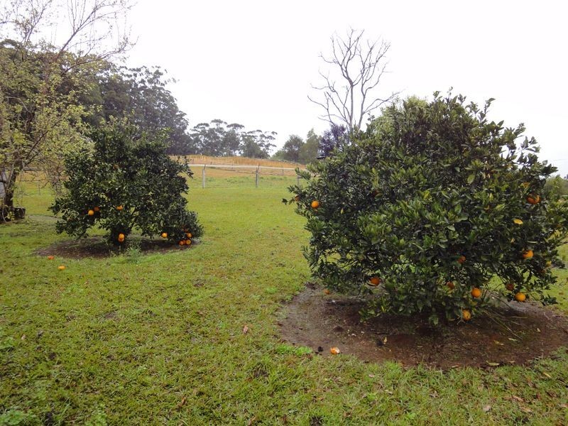 559 Batar Creek Road, Kendall NSW 2439