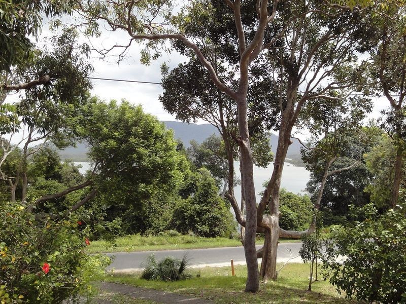 150 Camden Head Road, Dunbogan NSW 2443