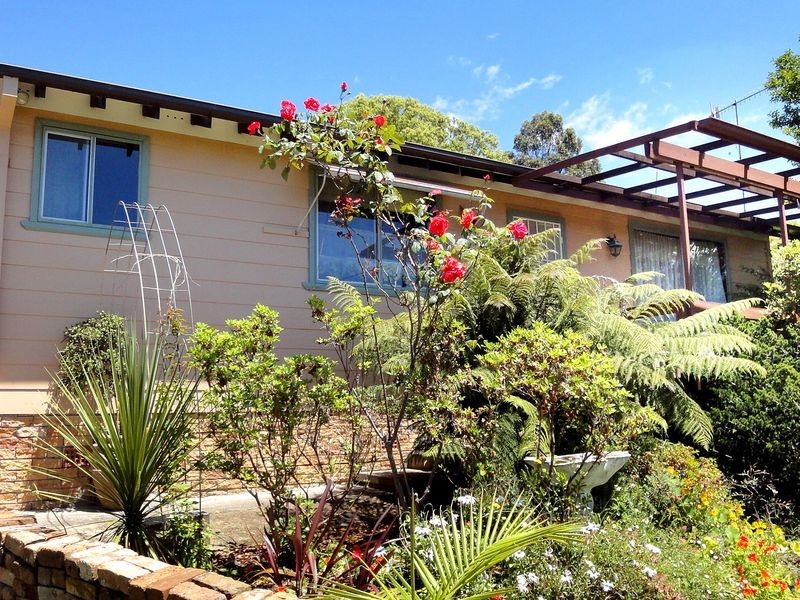 39 Graham Street, Kendall NSW 2439