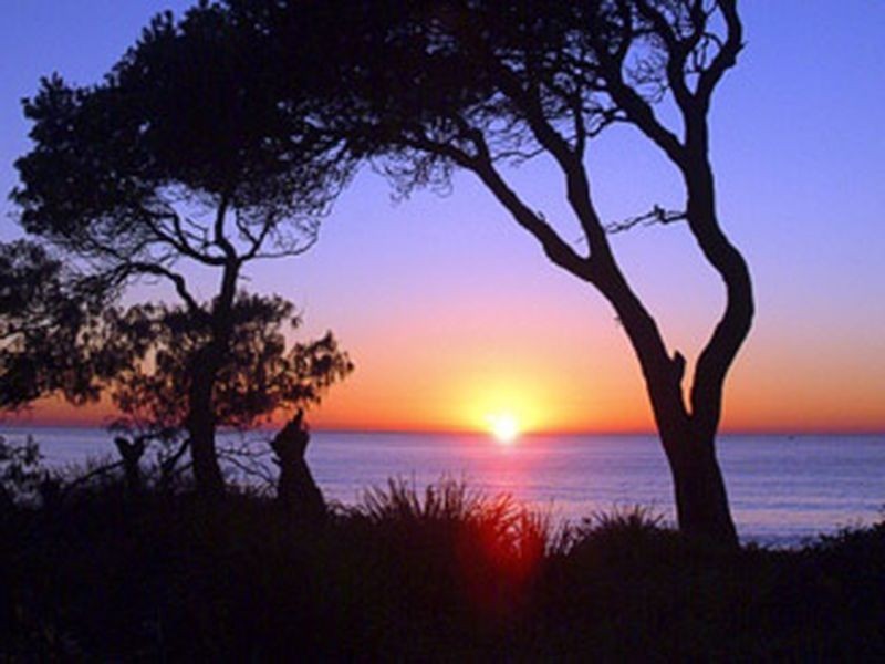 1639 Ocean Drive, Lake Cathie NSW 2445