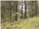 West Haven NSW 2443