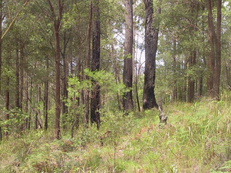 West Haven NSW 2443