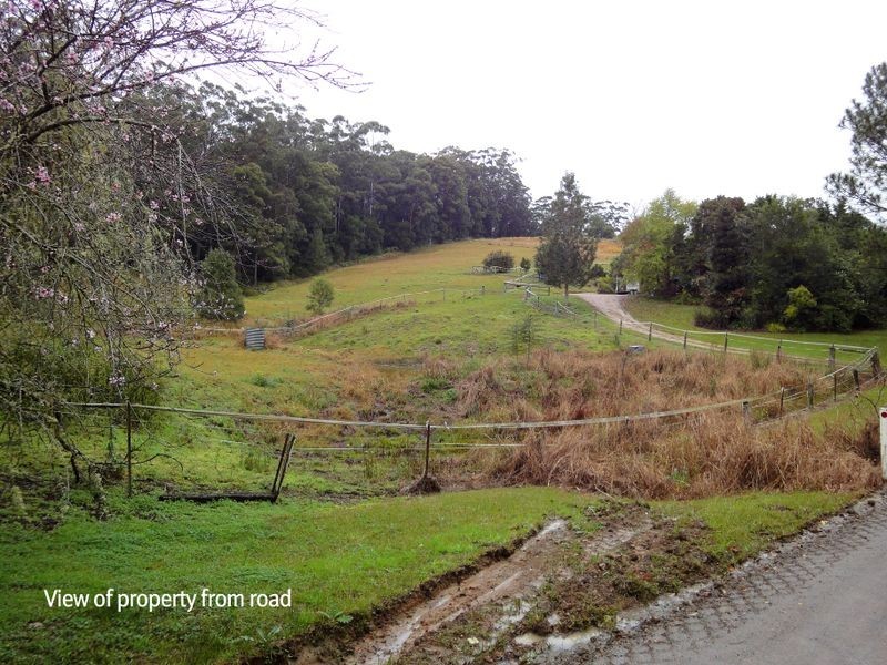 559 Batar Creek Road, Kendall NSW 2439