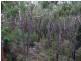 19 Birramal Drive, Dunbogan NSW 2443