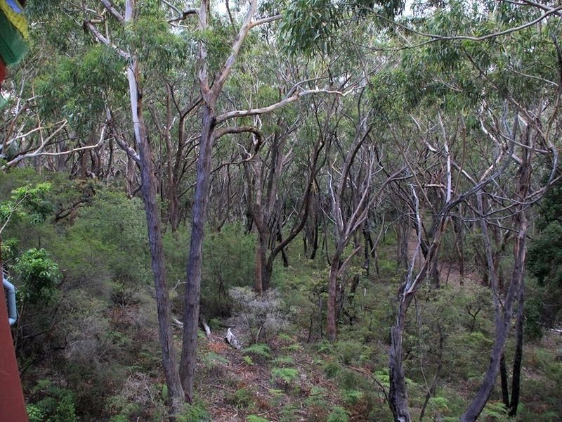 19 Birramal Drive, Dunbogan NSW 2443