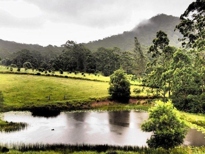 130 Cedar Loggers Lane, Kendall NSW 2439