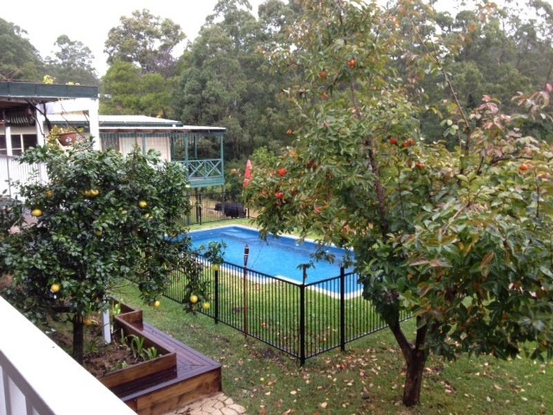 130 Cedar Loggers Lane, Kendall NSW 2439