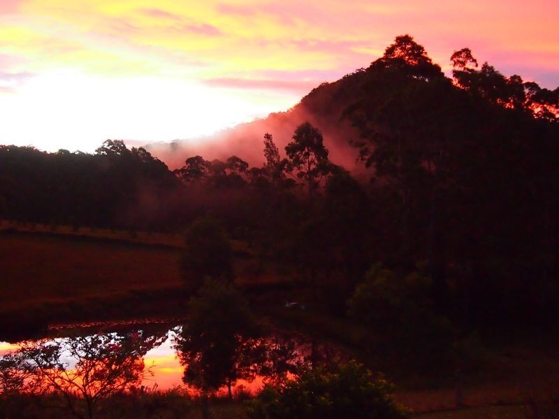 130 Cedar Loggers Lane, Kendall NSW 2439