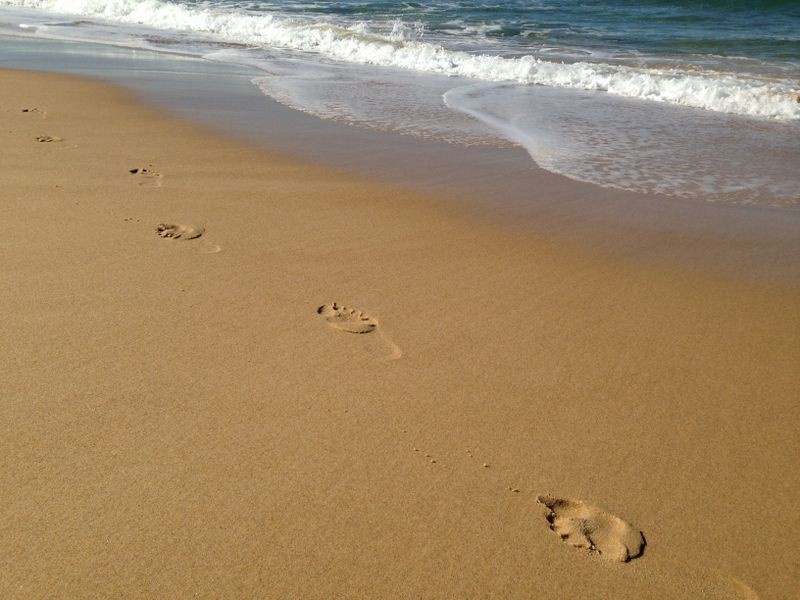 23 Pindari Drive, Dunbogan NSW 2443