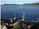 23 Pindari Drive, Dunbogan NSW 2443
