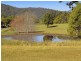 Lorne NSW 2439